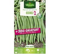 Graine - Vilmorin - Haricot Nain Vert Oxinel 2 + 20 g Offert