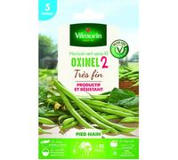 Graine - Vilmorin - Haricot Nain Vert Oxinel 2 - 5 m