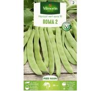 Graine - Vilmorin - Haricot Nain Vert Plat Roma 2