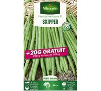 Haricot Nain Vert Skipper + 20 g Offert