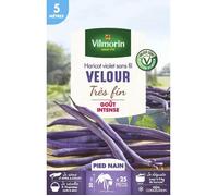 Graine - Vilmorin - Haricot Nain Violet Velour - 5 m