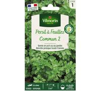 Graine - Vilmorin - Persil Commun 2