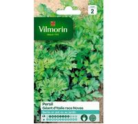 Graine - Vilmorin - Persil Gigante d'Italia (Géant d'Italie) race Novas - Graines d'Exception
