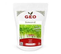 Graines à germer bio de cresson 350g - GEO - Super-aliment riche en vitamines et antioxydants - Germination facile - Origine Italie - Pour germoir ou coupelle