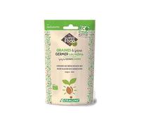 Graines à Germer Bio de Trèfle Rouge 150g - GERMLINE - Riche en Vitamines & Antioxydants - Germination Facile - Origine France/Italie - Certifié BIO