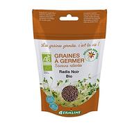 Graines à germer Radis noir Germline