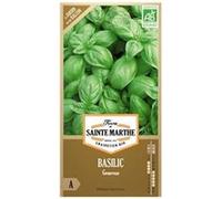 Graines à semer - Basilic Genovese bio