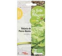 Graines à semer - Batavia de Pierre-Bénite - 0,5 g - La Belle Potagère G