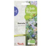 Graines à semer - Bourrache officinale - 2 g G