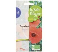 Graines à semer - Coquelicot sauvage - 0,5 g G
