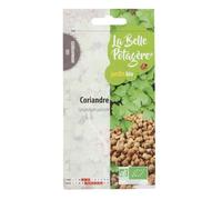 Graines à semer - Coriandre - 1 g