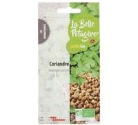 Graines à semer - Coriandre - 1 g - La Belle Potagère G