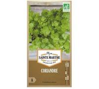 Graines à semer - Coriandre bio Vert G