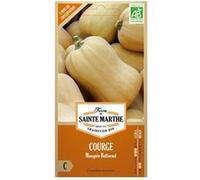 Graines à semer - Courge butternut bio Orange G