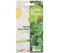 Graines à semer - Epinard géant d'hiver - 5 g - La Belle Potagère G