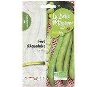 Graines à semer - Fève Aguadulce - 50 g - La Belle Potagère G