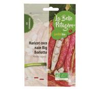 Graines à semer - Haricot coco nain Big Borlotto - 50 g