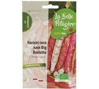 Graines à semer - Haricot coco nain Big Borlotto - 50 g - La Belle Potagère G