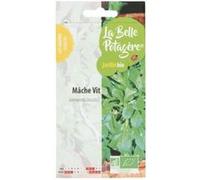 Graines à semer - Mâche Vit - 1 g - La Belle Potagère