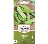 Graines à semer - pois nain Norli bio Vert G