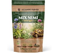 Graines à Semer pour Tortue Terrestre 40g|Mélange Rapide Chicorée Trèfle Chardon-Marie|Herbes Méditerranéennes|Testudo Hermann