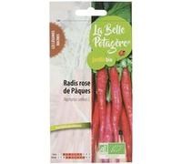Graines à semer - Radis rose de Pâques - 3 g - La Belle Potagère Rose G