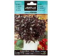 Graines aromatiques de Batlle - Basilic pourpre (2g), violet