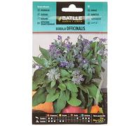 Graines aromatiques de Batlle - Bourrache Officinale (6g)