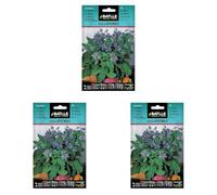 Graines aromatiques de Batlle - Bourrache Officinale (6g) (Lot de 3)