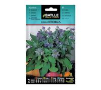 Graines aromatiques de Batlle - Bourrache Officinale (6g), violet