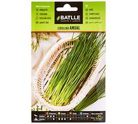 Graines aromatiques de Batlle - Ciboulette annuel (3g), Vert.