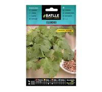Graines aromatiques de Batlle - Coriandre (10g), vert
