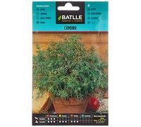 Graines aromatiques de Batlle - Cumin (Seeds - 20cm)