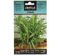 Graines aromatiques de Batlle - Estragon (0,7g)