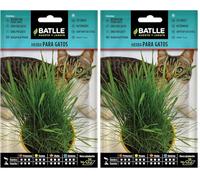 Graines aromatiques de Batlle - Herbe à chat (15g), vert (Lot de 2)