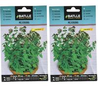 Graines aromatiques de Batlle - Marjolaine/Origan des jardins (Seeds - 40cm) (Lot de 2)