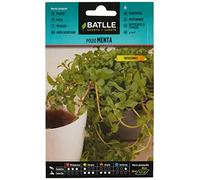Graines aromatiques de Batlle - Menthe Pouliot (0,200g)