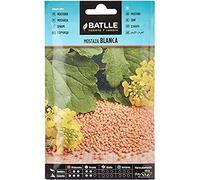 Graines aromatiques de Batlle - Moutarde blanche Sinapis alba (10g)