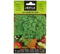 Graines aromatiques de Batlle - Persil géant d'Italie (9g)