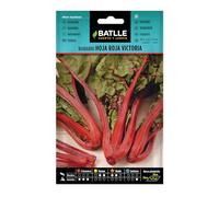 Graines aromatiques de Batlle - Rhubarbe Feuille Rouge Victoria (1g)