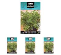 Graines aromatiques de Batlle - Rue des Jardins (1g), vert (Lot de 4)