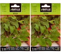 Graines aromatiques de Batlle - Salade roquette (10g) (Lot de 2)