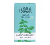 Graines bio - Capsule de basilic grand vert - Prêt à pousser