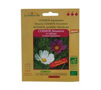 GRAINES BIO -COSMOS SENSATION EN MELANGE