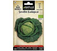 Graines Bio de Batlle - Chou de Milan Virtudes 3 (2g)