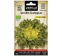 Graines Bio de Batlle - Endives aux cheveux d'ange Moss curled (0,6g)