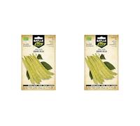 Graines Bio de Batlle - Haricots à rames Helda (28-70 graines), Blanche,Vert (Lot de 2)