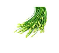 Graines BIO de ciboulette à l’ail - env. 300 graines / 1 g - Allium tuberosum vivace et rustique - Saveur douce d’ail - Pour jardin, balcon, pot et rebord de fenêtre