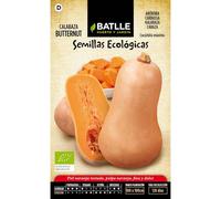 Graines Bio De Courge Butternut