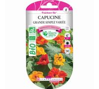 Graines capucine grande variée BIO Les Doigts Verts